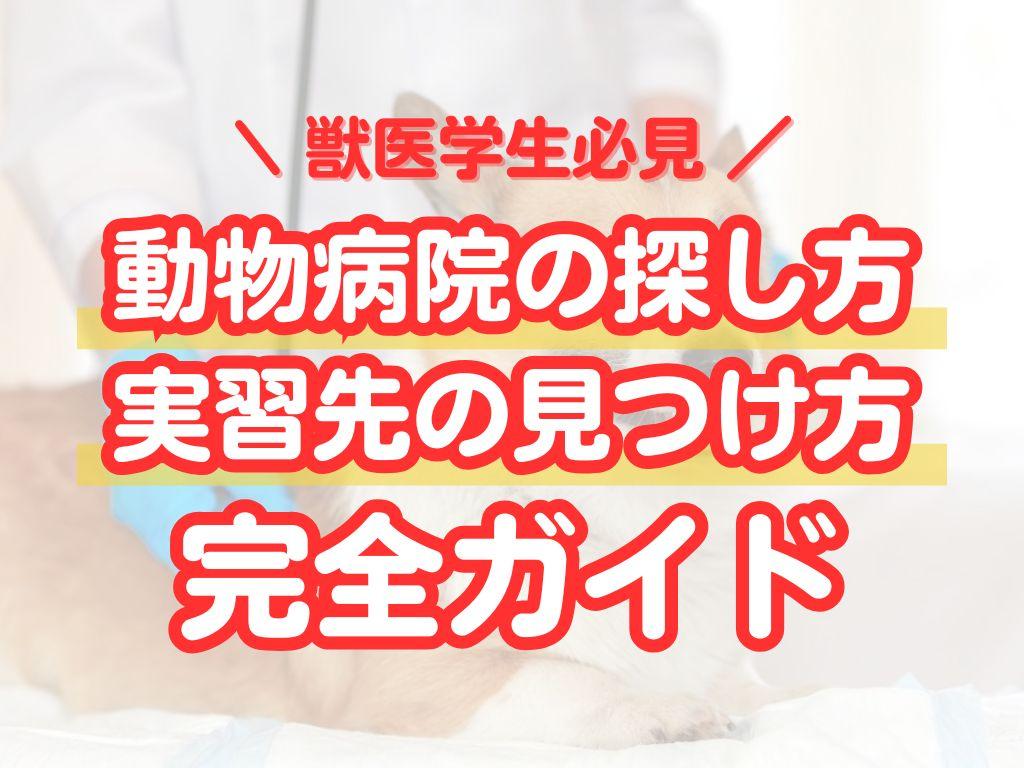 獣医学生必見！動物病院の探し方・実習先の見つけ方完全ガイド