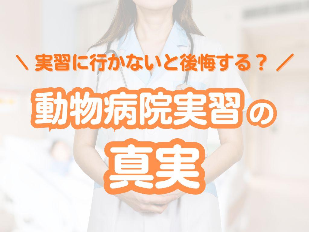 実習に行かないと後悔する？獣医学生が知るべき動物病院実習の真実