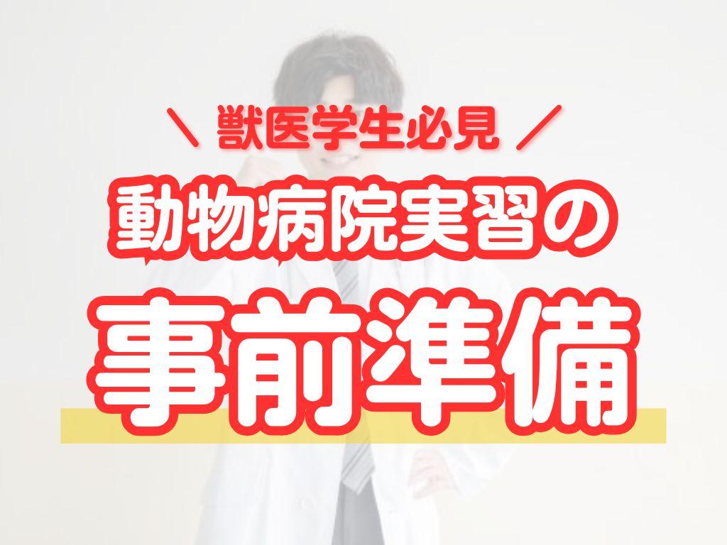 動物病院実習の事前準備｜前日までにするべき準備と心構え
