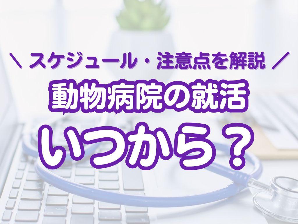 動物病院の就活はいつから始める？就職までの流れと押さえておくべきポイント