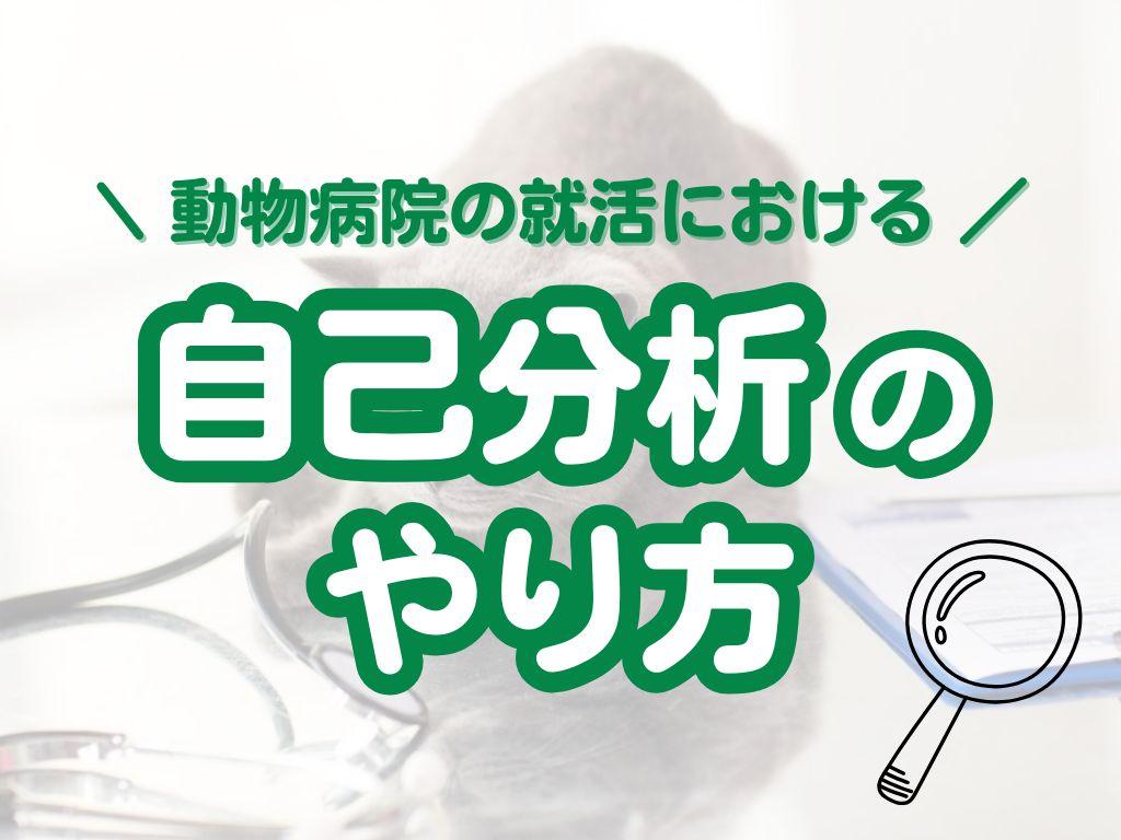 動物病院の就活における自己分析のやり方を解説 | 取り組むメリットや注意点も