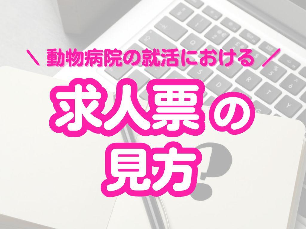 動物病院の求人票の見方 | 必ずチェックしたいポイントも解説