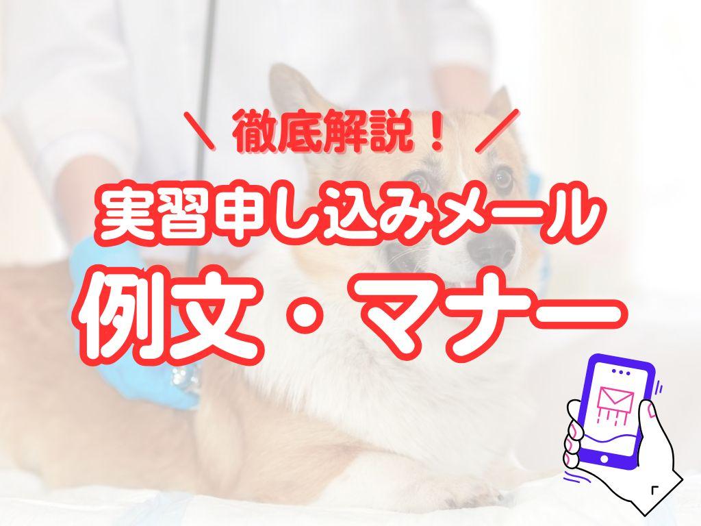 【獣医学生向け】動物病院の実習申し込みメール例文＆マナー解説