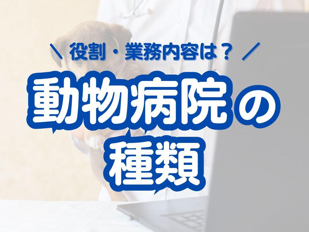 動物病院の種類を紹介 | 役割やどのような業務内容かも解説