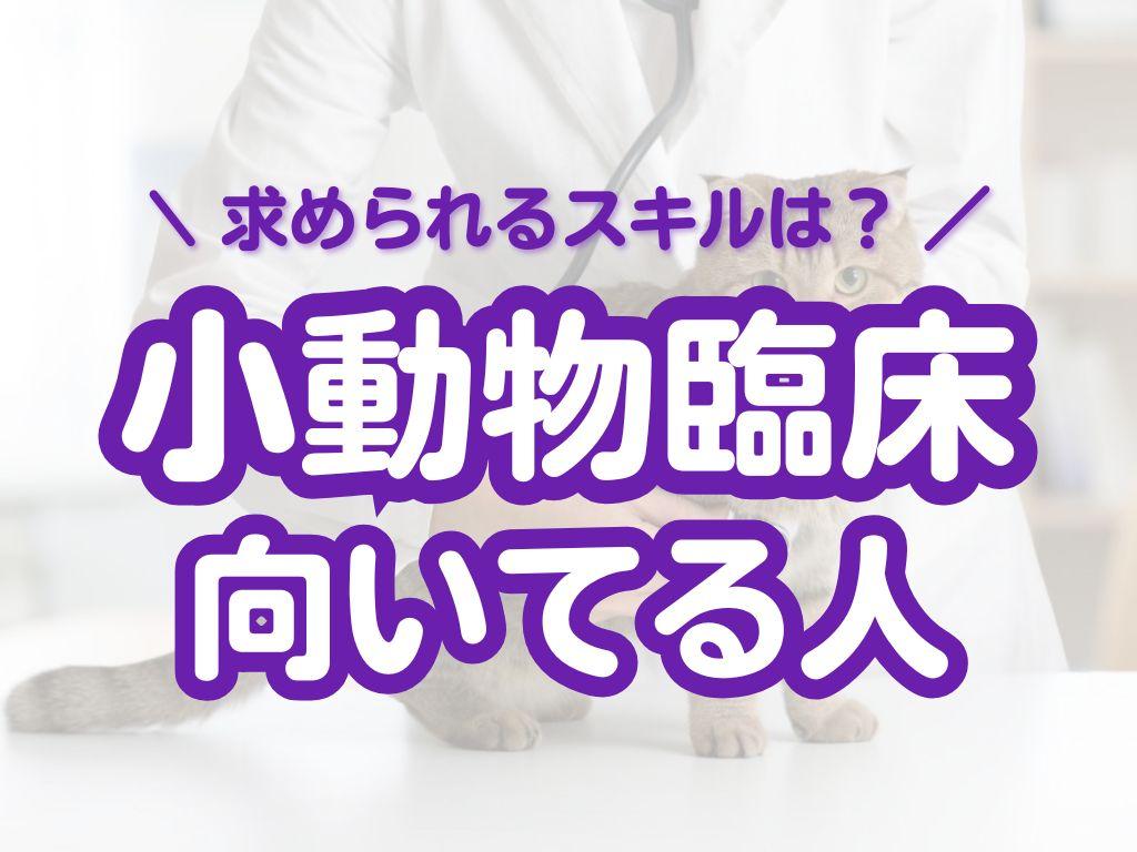 小動物臨床に向いている人の特徴とは？求められるスキルも詳しく紹介