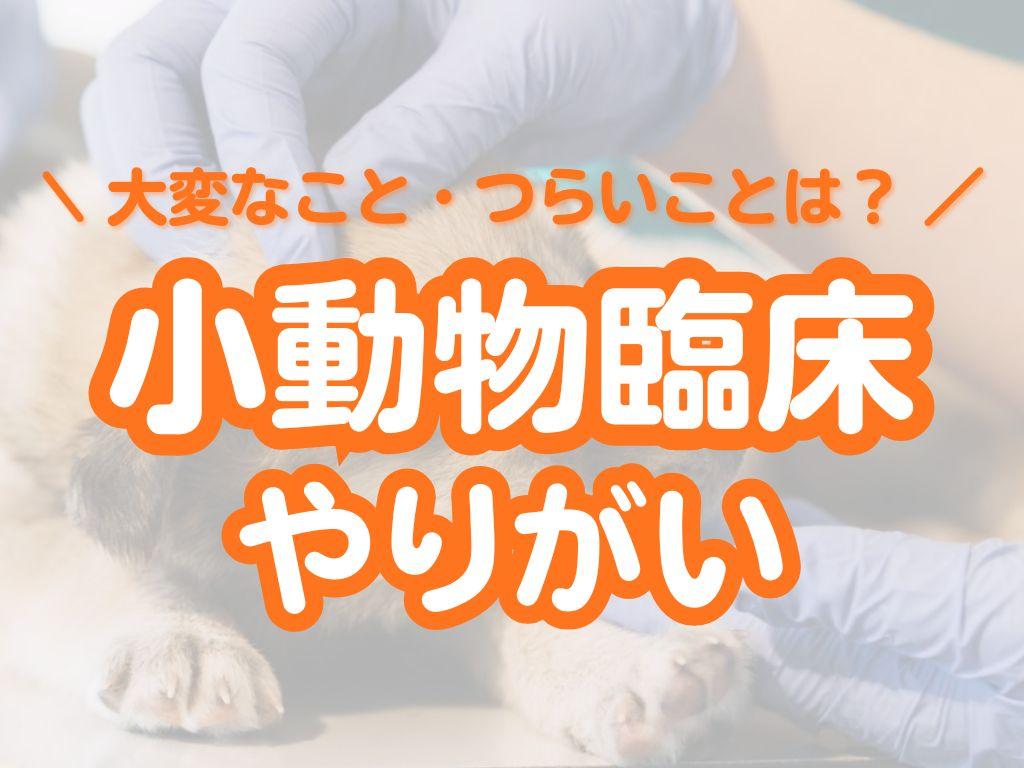 小動物臨床における仕事のやりがいを紹介 | 働く上で大変なことやつらいこともあるの？