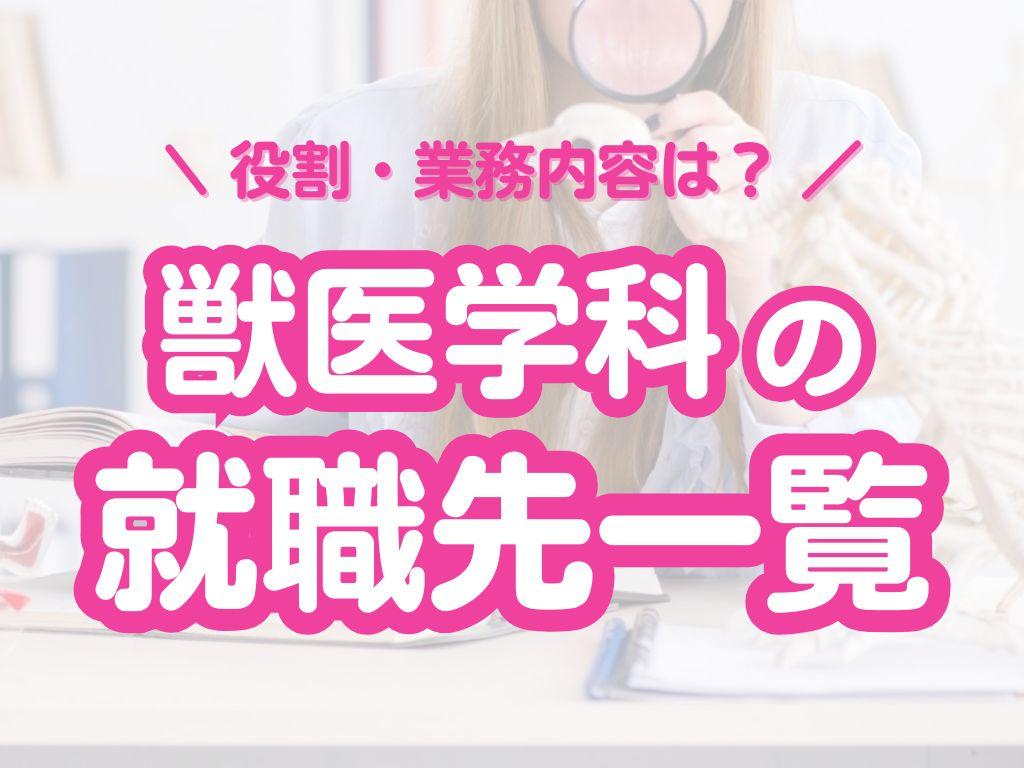 【獣医学科の就職先一覧】卒業後の進路を徹底解説｜就職先の選び方・実習情報も紹介