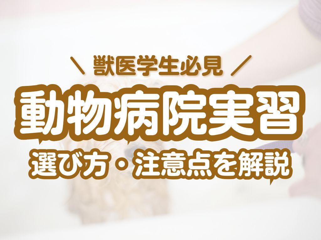 獣医学生,獣医師,実習,インターン,実習ツアー