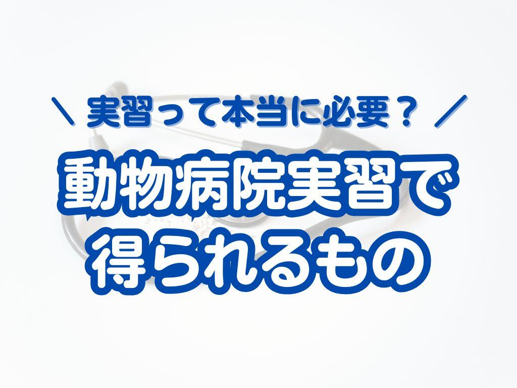 動物病院実習で得られるもの