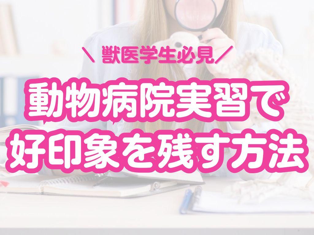 動物病院実習で好印象を残すには