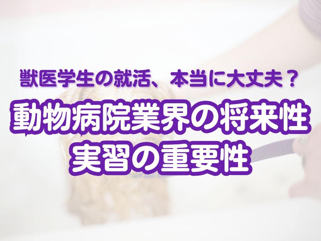 獣医学生の就活、本当に大丈夫？データで見る動物病院業界の将来性と実習の重要性