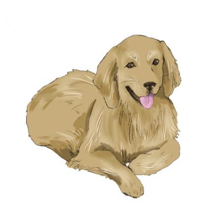 女性獣医師,復職,動物病院,女性看護師,女性院長,人間関係