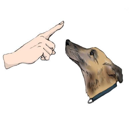 女性獣医師,復職,動物病院,人手不足,パート勤務,労働環境