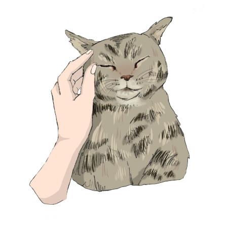 女性獣医師,復職,動物病院,勤務実態,体験談,労働環境