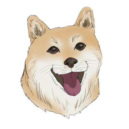 女性獣医師,復職,動物病院,高齢動物,介護,東洋医療
