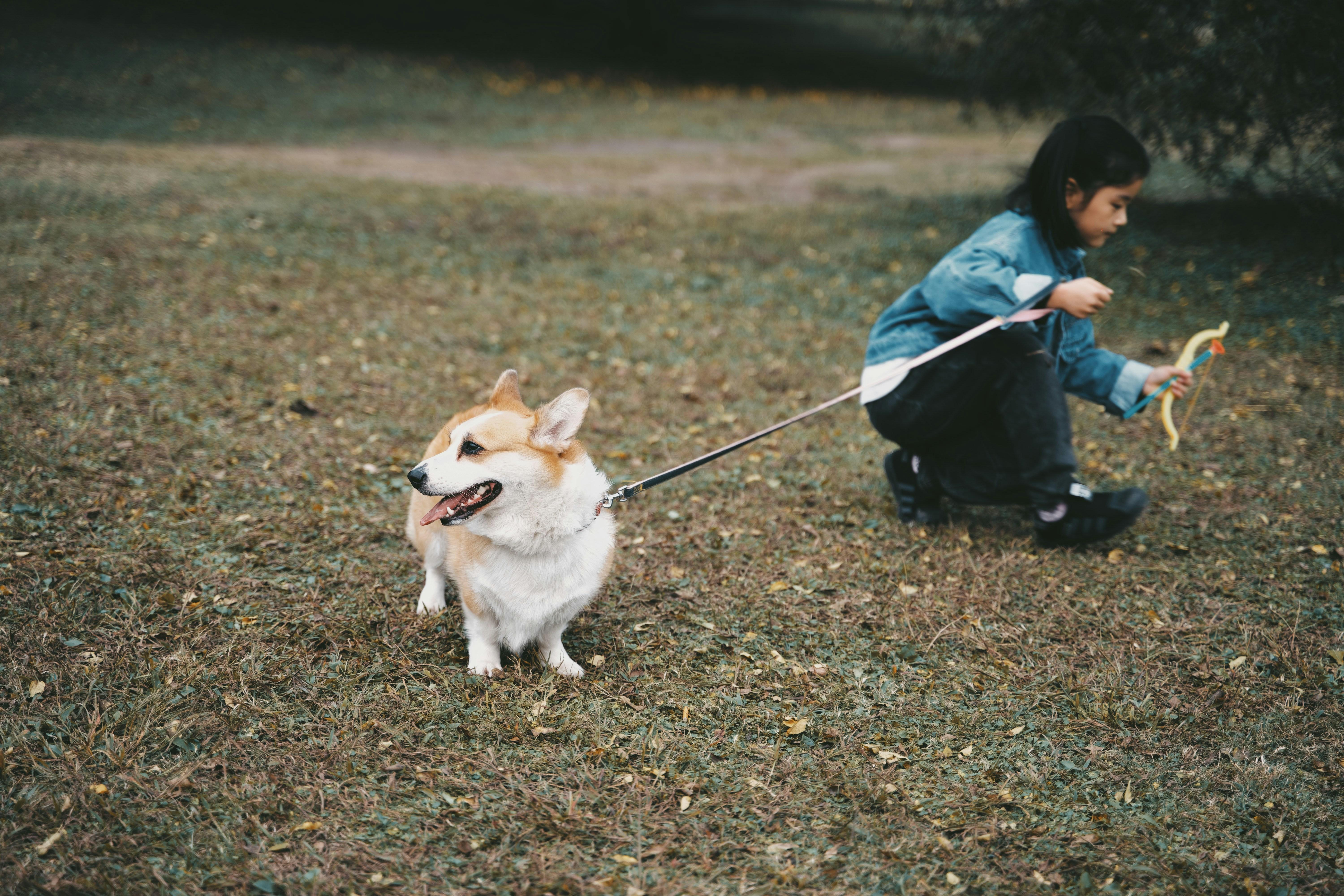 子供と犬