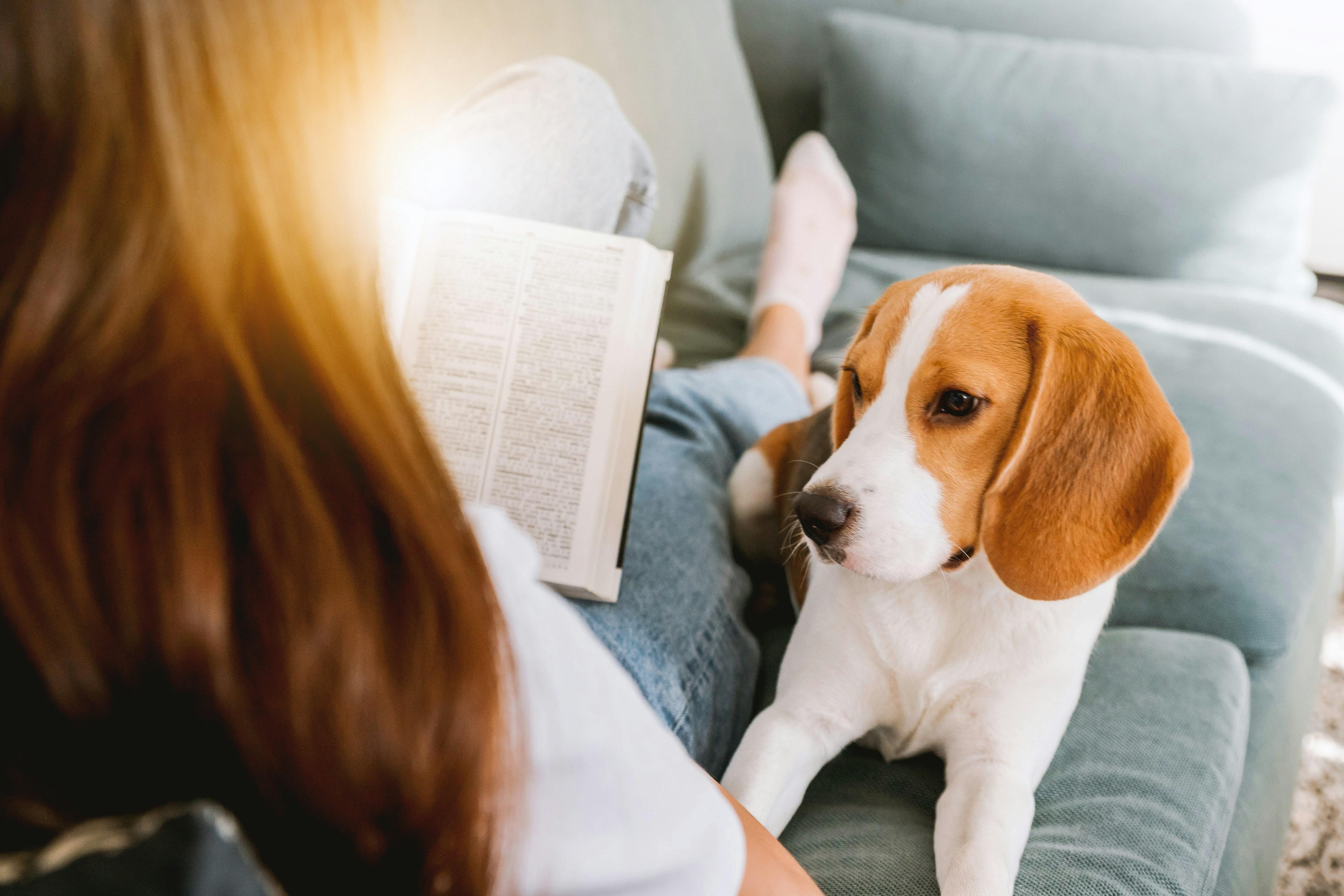 犬と調べ物をする飼い主