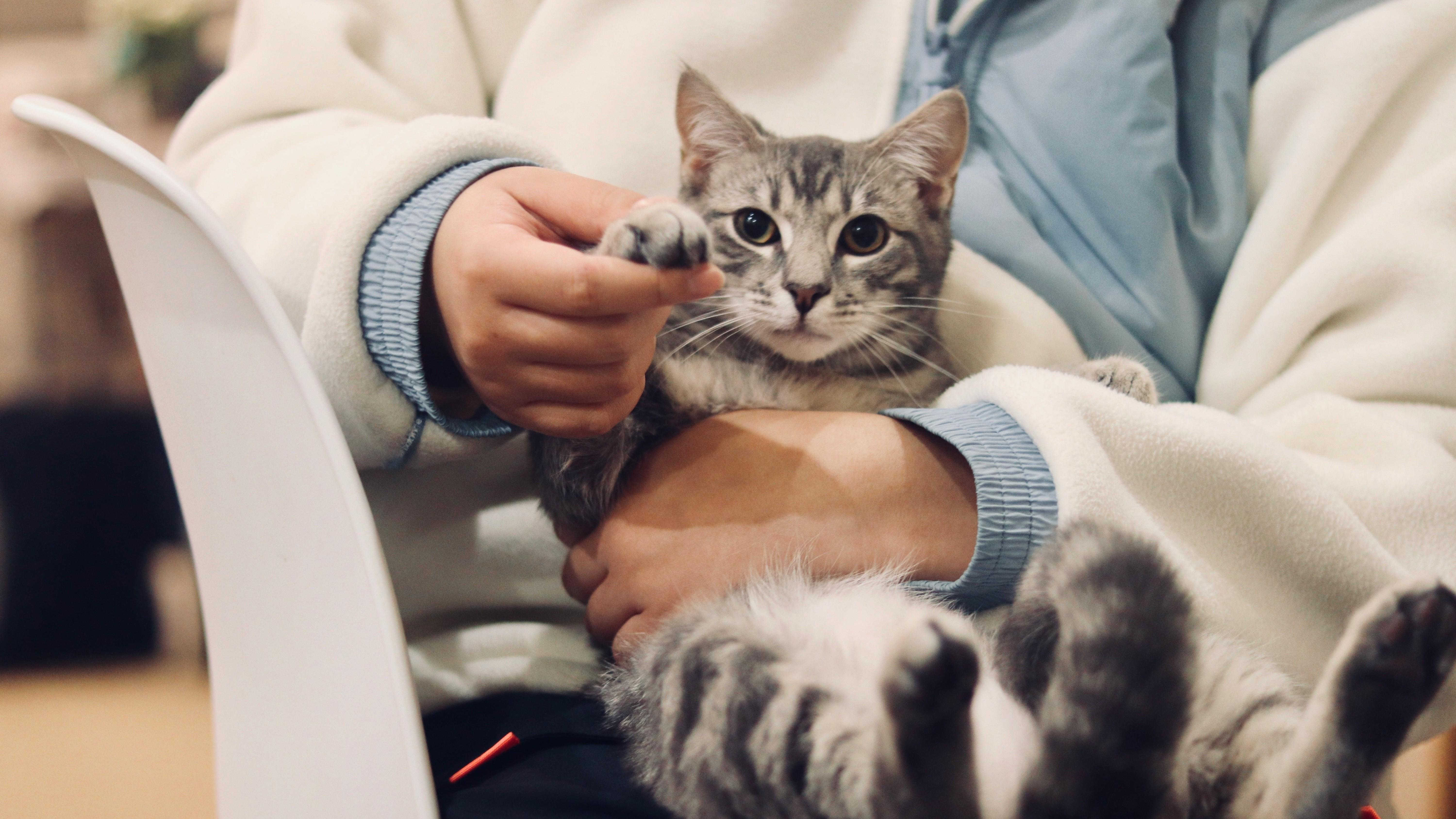 猫を抱える獣医学生