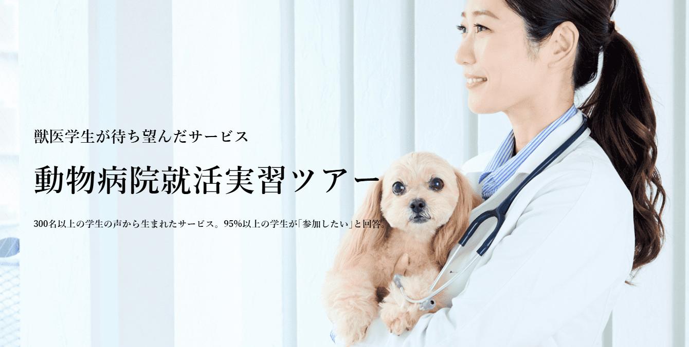 動物病院就活実習ツアー